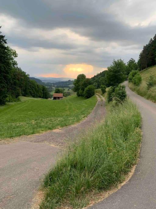 Charming Alps Apartment Perfect For Walk/Cycle/Ski Eschenbach Exterior foto